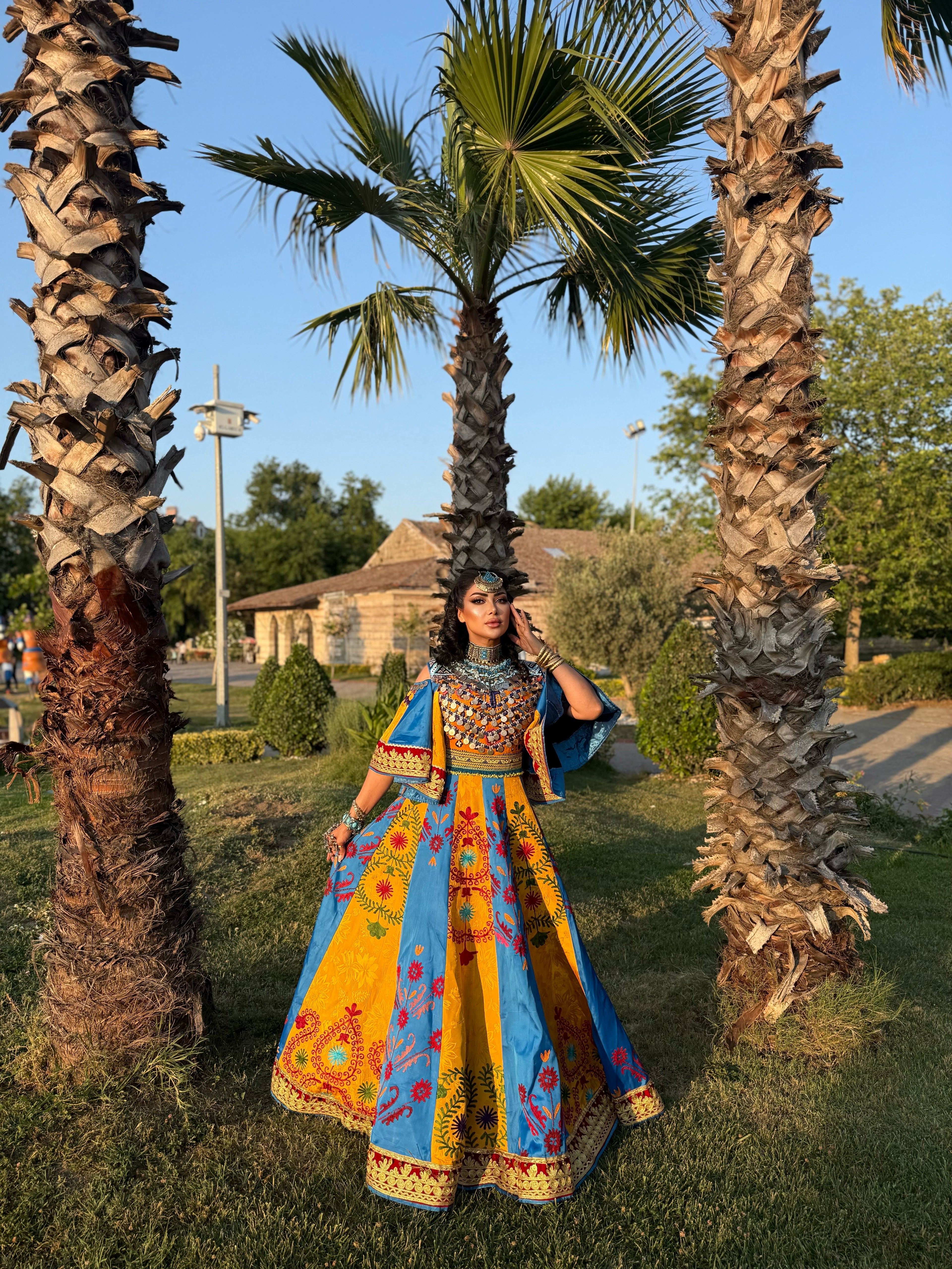 The Desert Sunflower